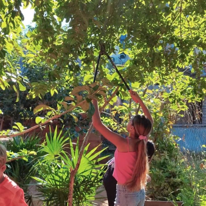 What is Linda Tripp net worth? Her Earning Sources 2024